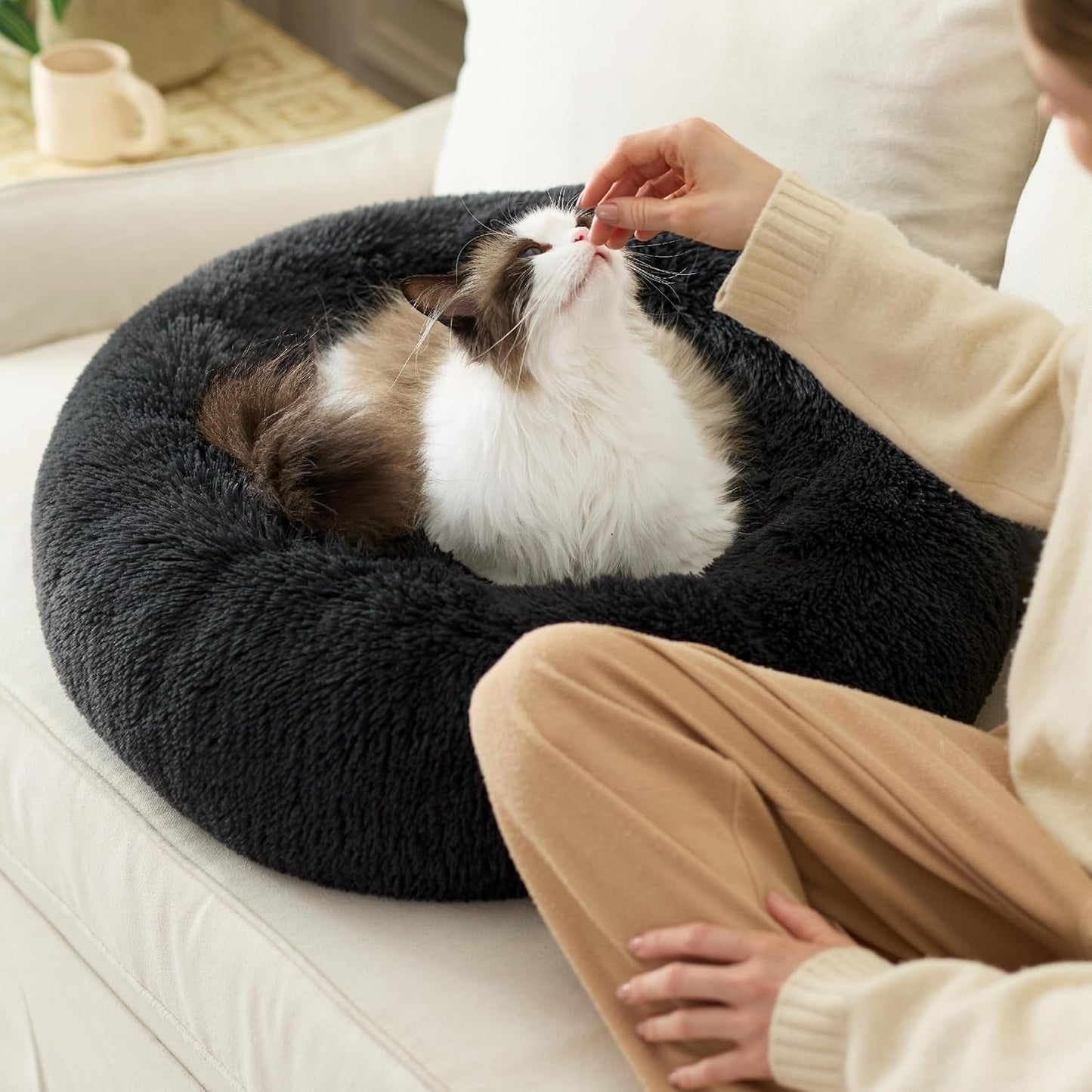Camas, mantas y muebles, mascotas, gatos, camas para gatos, Gatos - camas, colchones