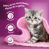 Whiskas Junior Classic comida húmeda para gatos, 13 x 4 x 85 g