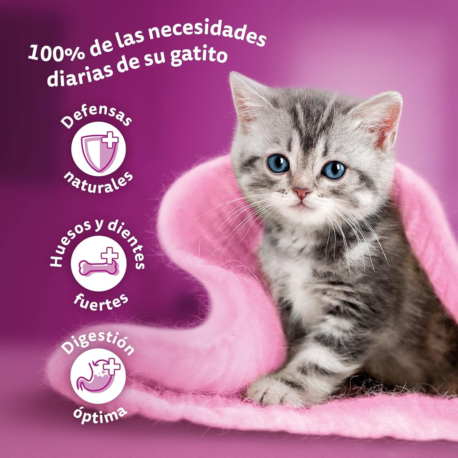 Whiskas Junior Classic comida húmeda para gatos, 13 x 4 x 85 g
