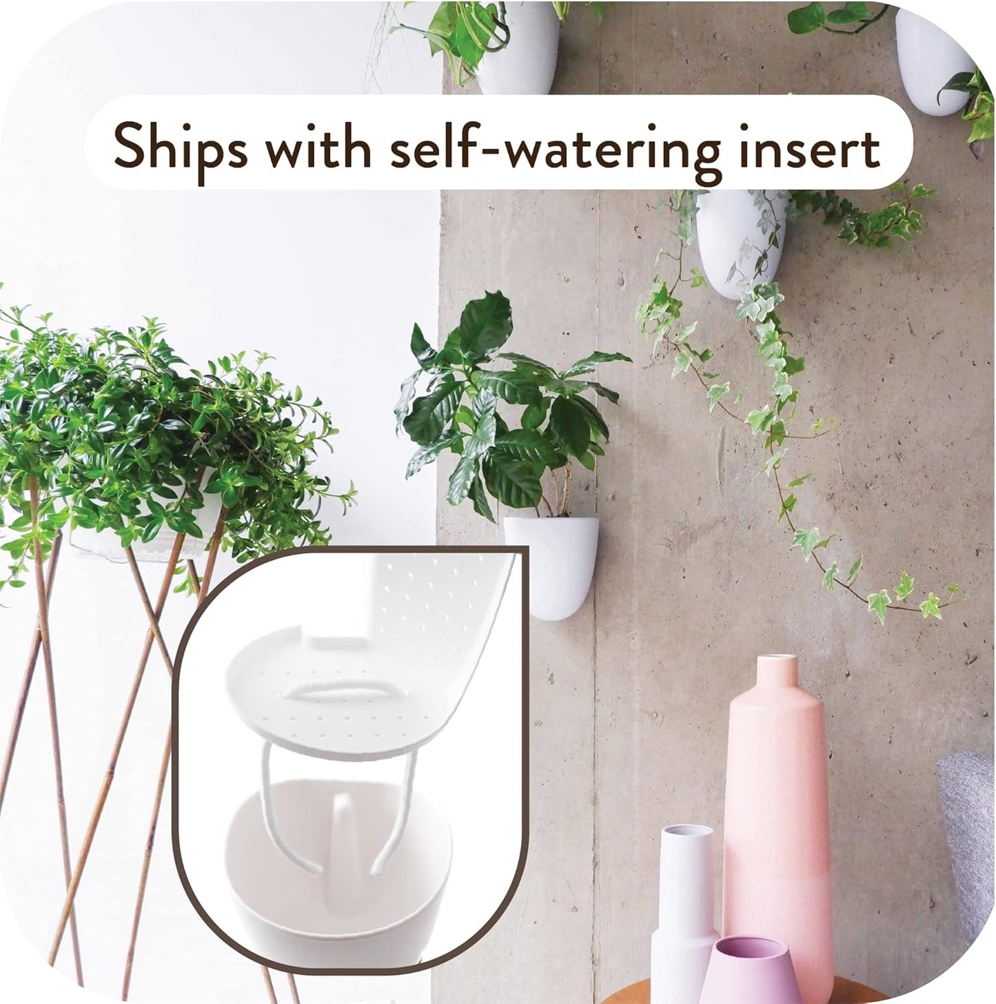 Macetas de pared con riego automático Virgo (juego de 6) - Fáciles de regar e instalar - Livianas - Crea tu propio jardín vertical - Macetas de pared para plantas de interior