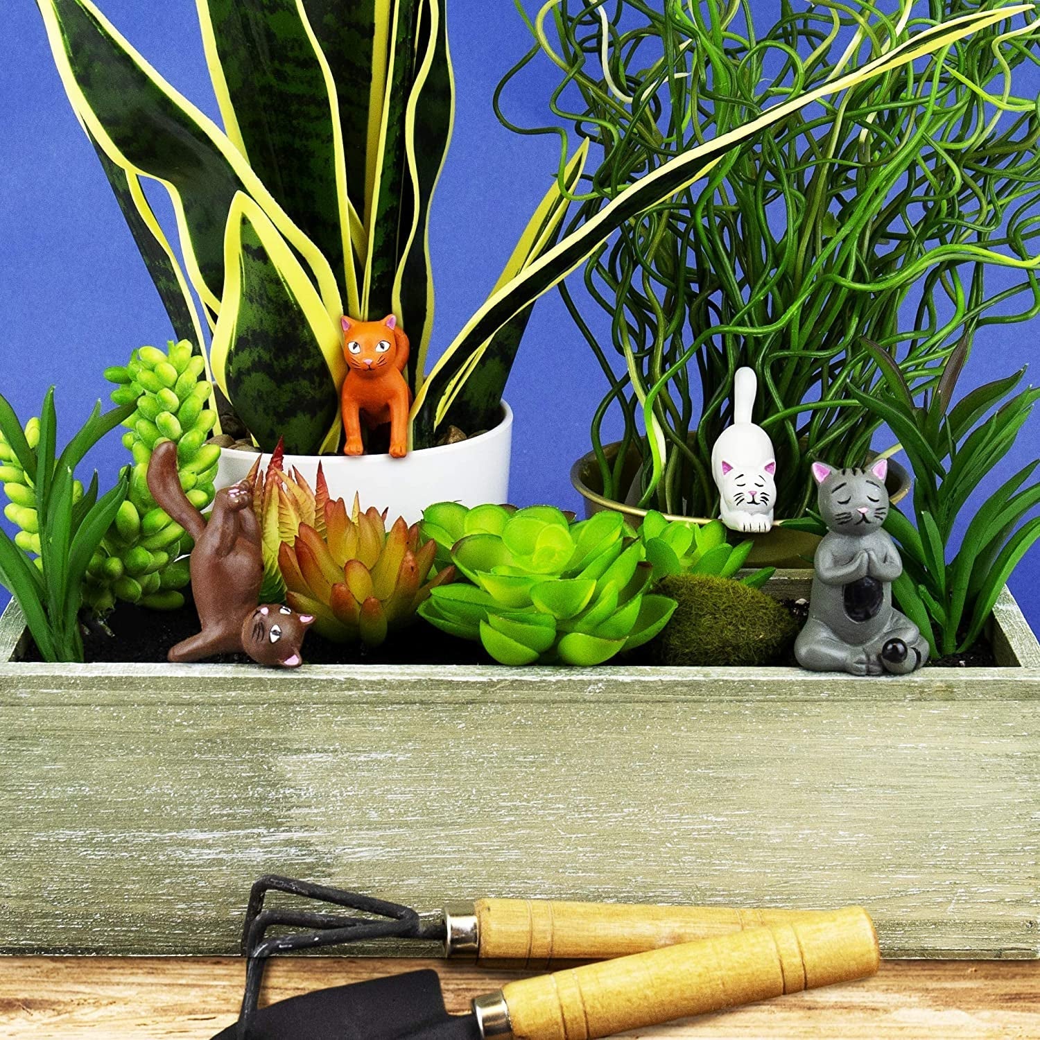 Gift Republic Mini Maceta Yoga Gatos, Multicolor, 1