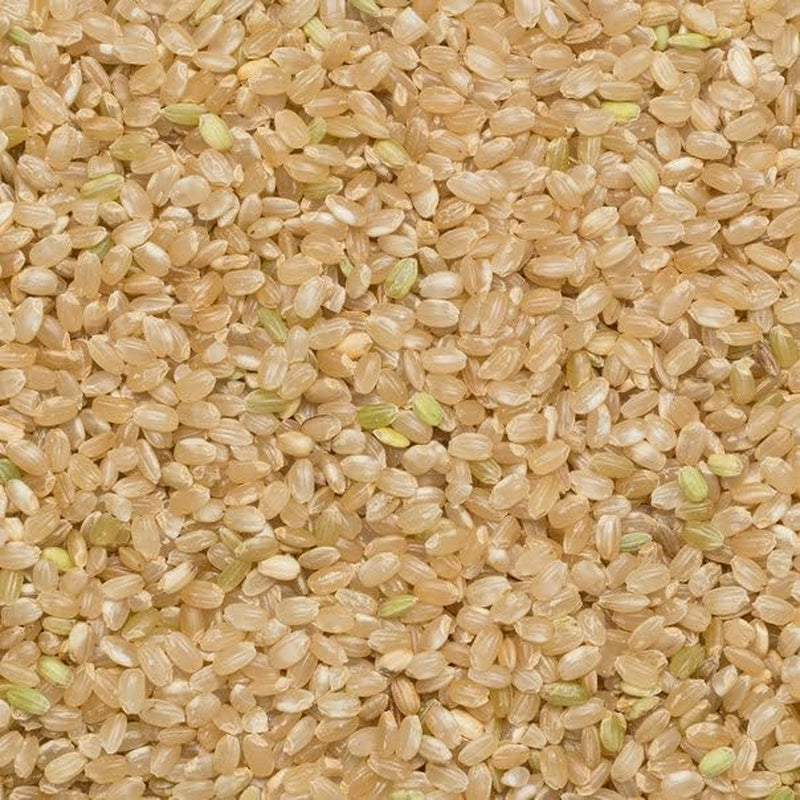 Arroz integral de grano corto Wholefood Earth - sin OGM - natural - vegano - sin lácteos - sin azúcares añadidos, 3 kg