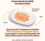 Almo Nature HFC Jelly - Nassfutter für ausgewachsene Katzen - Lachs - Grado humano, sin gluten y monoproteína - 6 x 70 g