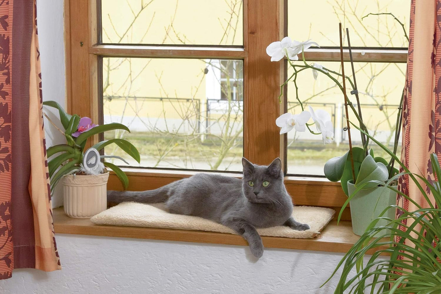 Mantas y Muebles, Mascotas, Gatos, Camas para gatos, Rascadores, Gatos - Camas, Colchones
