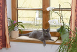 Mantas y Muebles, Mascotas, Gatos, Camas para gatos, Rascadores, Gatos - Camas, Colchones