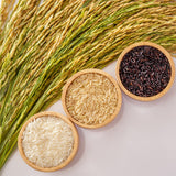 ARROZ ROYAL THAI - Arroz integral fragante de grano largo - 1 x 10 kg