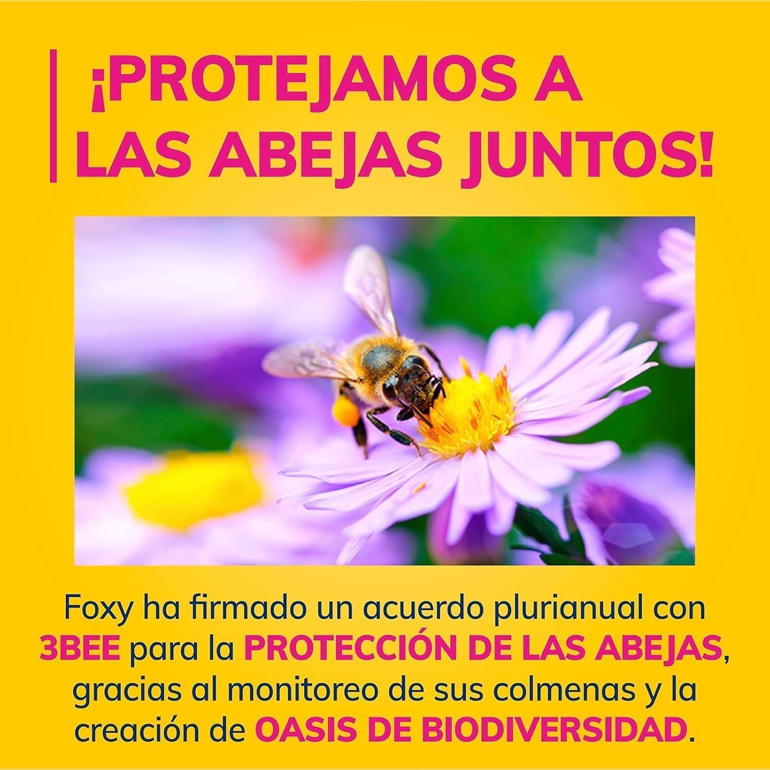 Amo la abeja | Papel higiénico de 3 capas | 48 rollos | 167 servicios en marcha | Certificado fsc | Electricidad 100% renovable | Envases reciclables fabricados con plástico reciclado.