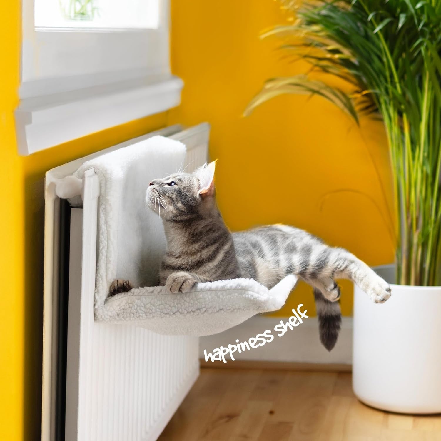 Camas y Sofás, Mantas y Muebles, Mascotas, Gatos, Camas para gatos, Gatos - camas, colchones