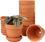 Hollyone Juego de 8 maceteros pequeños de terracota, maceteros redondos de arcilla de 8 x 8 cm con plato y orificio de drenaje, maceteros pequeños con bandeja, maceteros suculentos de terracota para plantas de interior, maceteros de cerámica