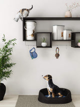 Contenedor de comida para perros Curver - 2 l Cajas de almacenamiento de alimentos Naty Shop