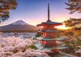 Ravensburger Puzzle 12000582 - Flores de cerezo en Japón - Puzzle de 1000 piezas para adultos y niños mayores de 14 años, Puzzle Naty Shop Versión antigua