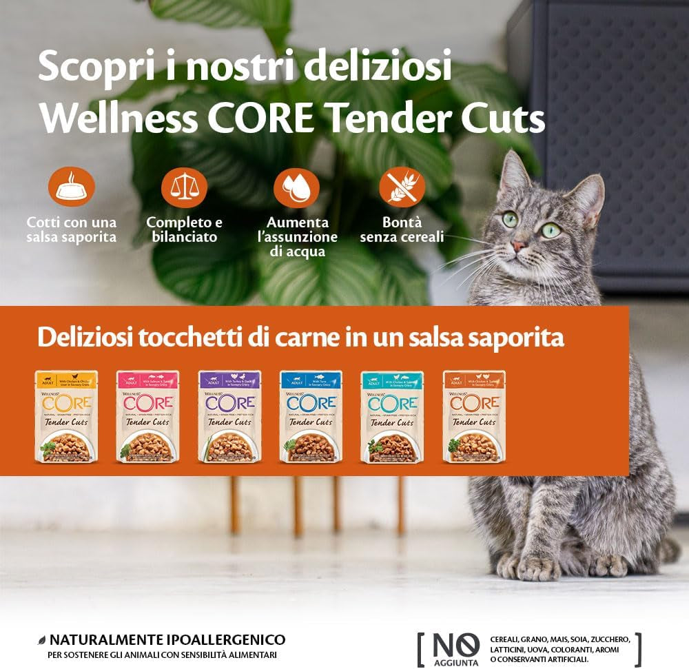 Wellness CORE Tender Cuts 6 x 85g, Mezcla Selección de Pollo - Comida húmeda para gatos, trozos tiernos en salsa, sin cereales, natural, hipoalergénico, rico en proteínas, alto contenido en carne
