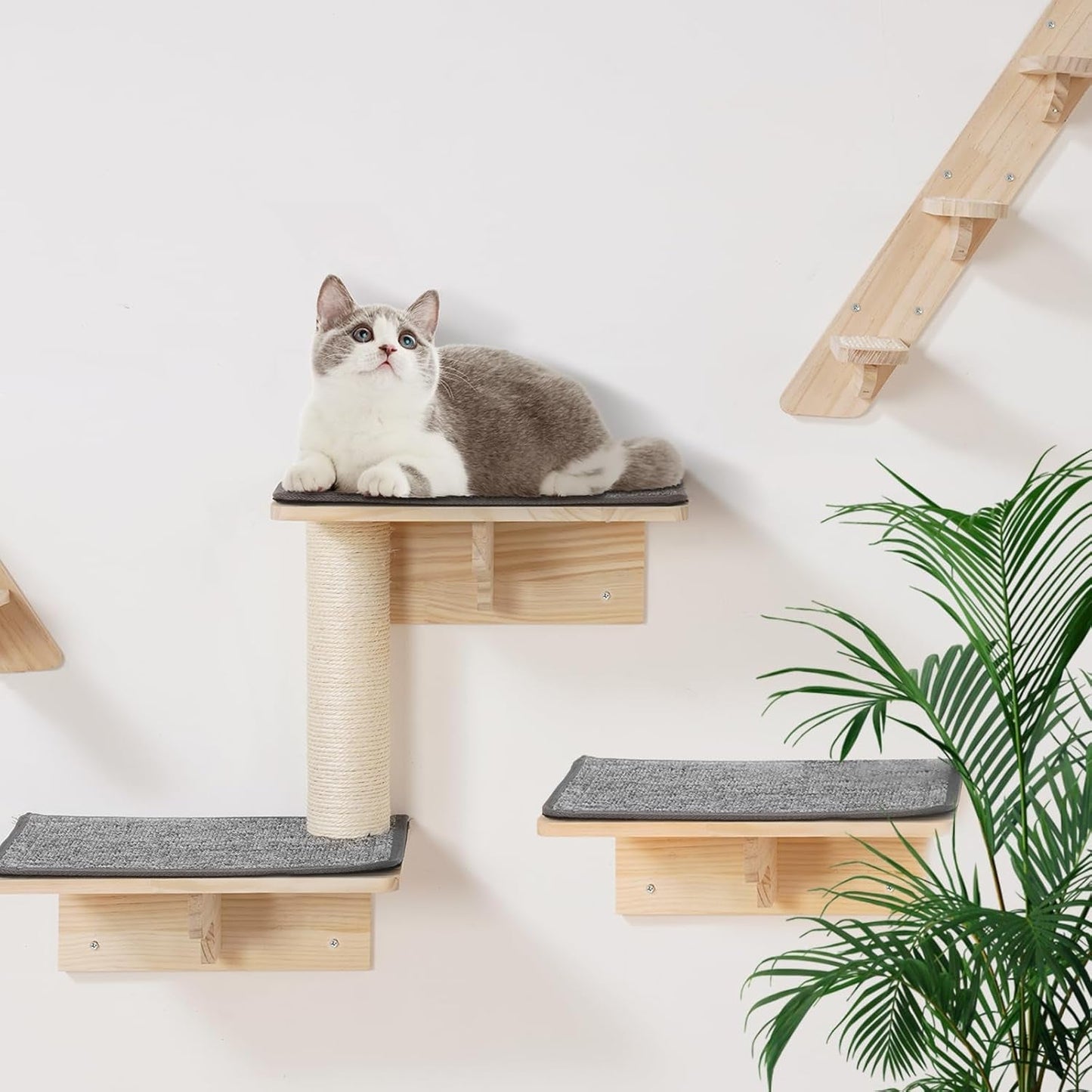 Mantas y muebles, Mascotas, Gatos, Camas para gatos, Gatos - camas, colchones