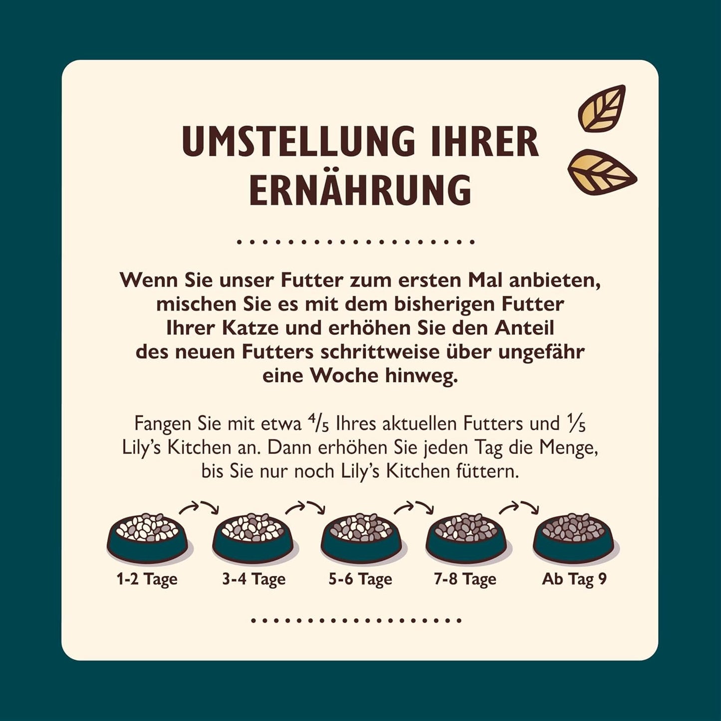Lily's Kitchen Aus Naturichen Ingredient hermestellung Zerkleinerte Filets in Gelee mit Hühnchen und Lachs Ausgewachsen Nassfutter für Katzen Dosis de 70 g