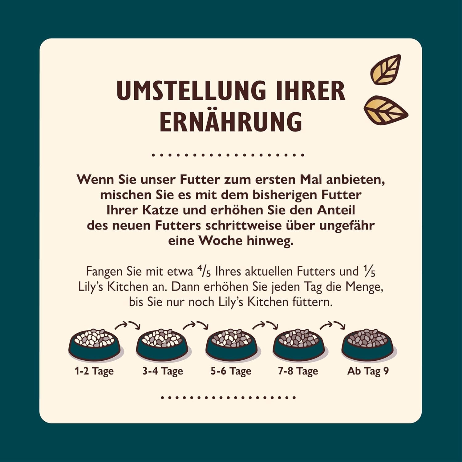 Lily's Kitchen Aus Naturichen Ingredient hermestellung Zerkleinerte Filets in Gelee mit Hühnchen und Lachs Ausgewachsen Nassfutter für Katzen Dosis de 70 g