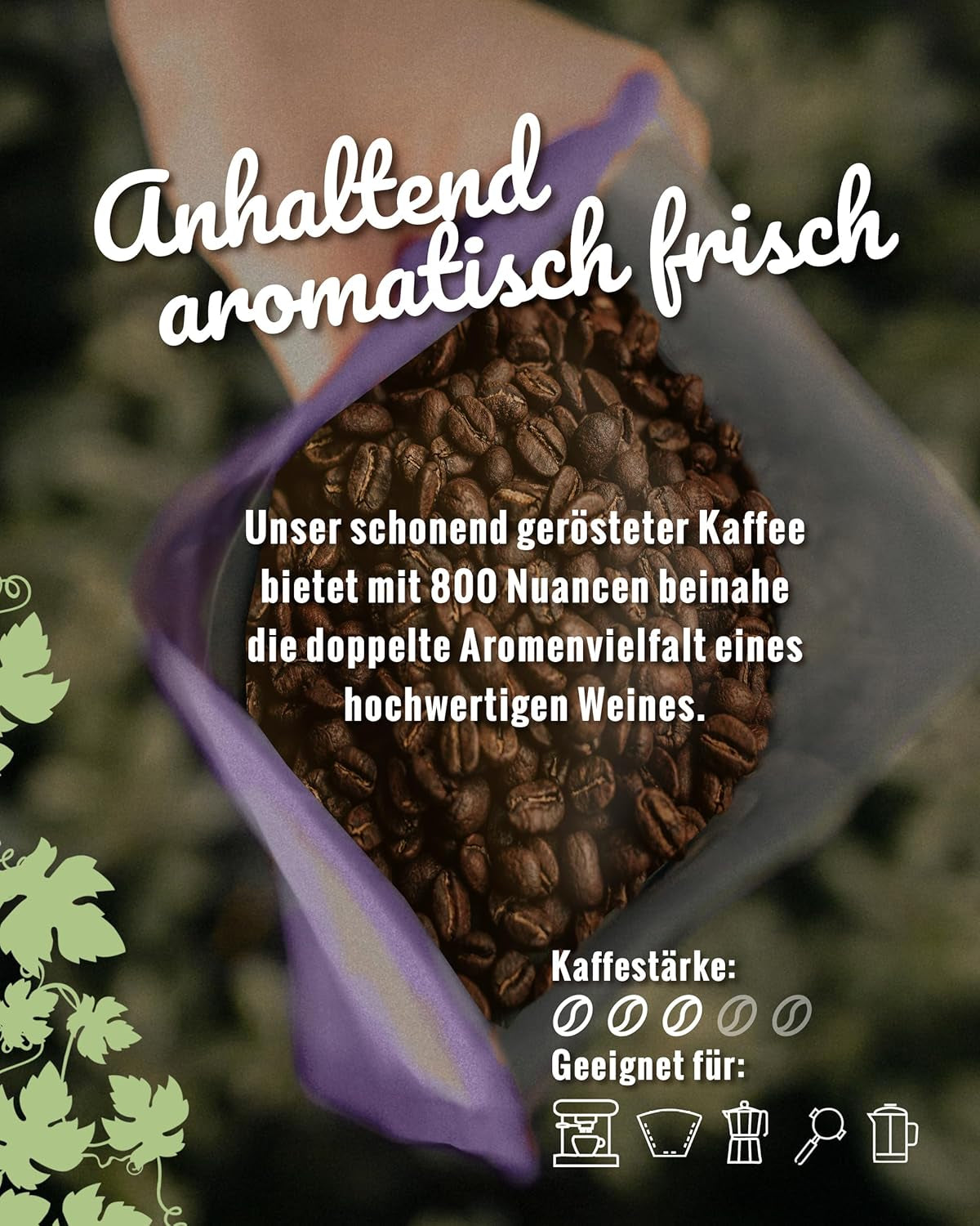 Blank Roast - BIO Winzer Kaffee 1000g - schonend mit Pfälzer Rebholz geröstet - ganze Kaffee-Bohnen aus Peru - 100% Arábica Röstung - schokoladig & nutsig - säurearm