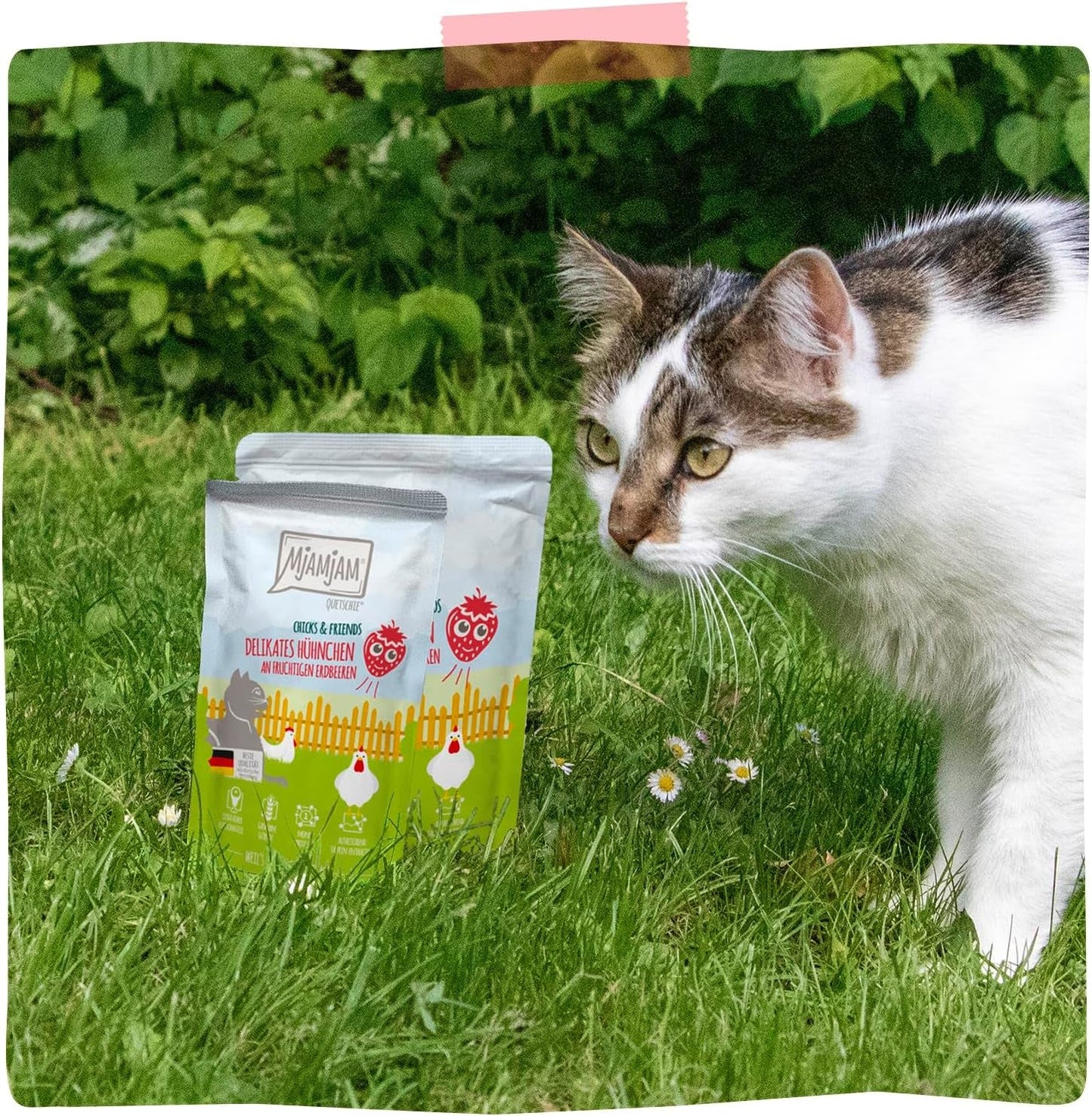 MjAMjAM - Comida húmeda premium para gatos - pollo delicado con fresas afrutadas 400 g, paquete de 6 (6 x 400 g), natural con extra de carne
