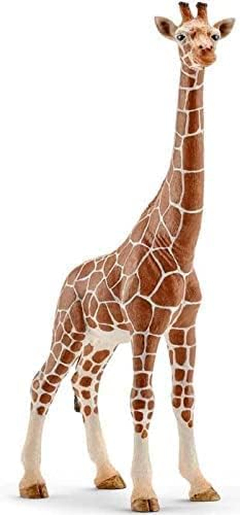 Schleich 15024 Pachycephalosaurus, para niños de 5-12 años, DINOSAURIOS - muñeco de juego Figuras de acción Naty Shop