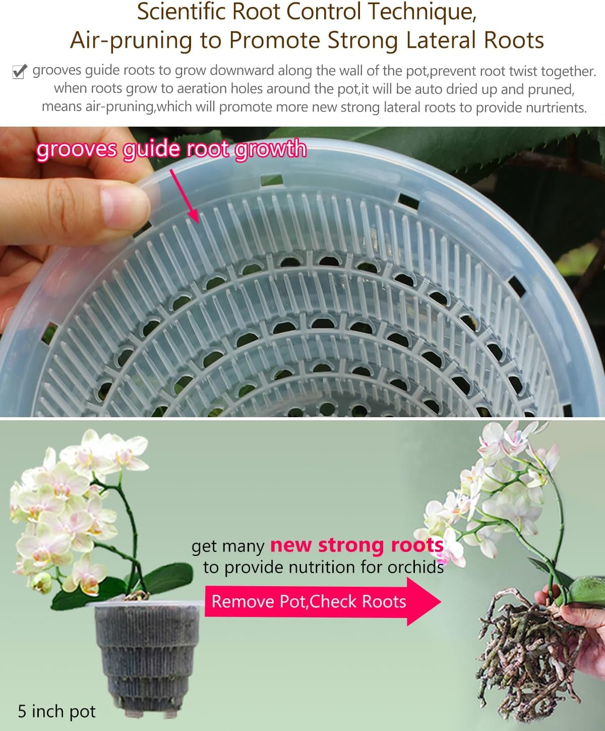 Maceta para orquídeas con orificios de drenaje para trasplantar, excelente circulación de aire, 2 piezas, plástico de doble capa, macetero de cerámica para orquídeas, maceta transparente para orquídeas, decorativa