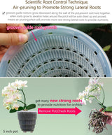 Maceta para orquídeas con orificios de drenaje para trasplantar, excelente circulación de aire, 2 piezas, plástico de doble capa, macetero de cerámica para orquídeas, maceta transparente para orquídeas, decorativa