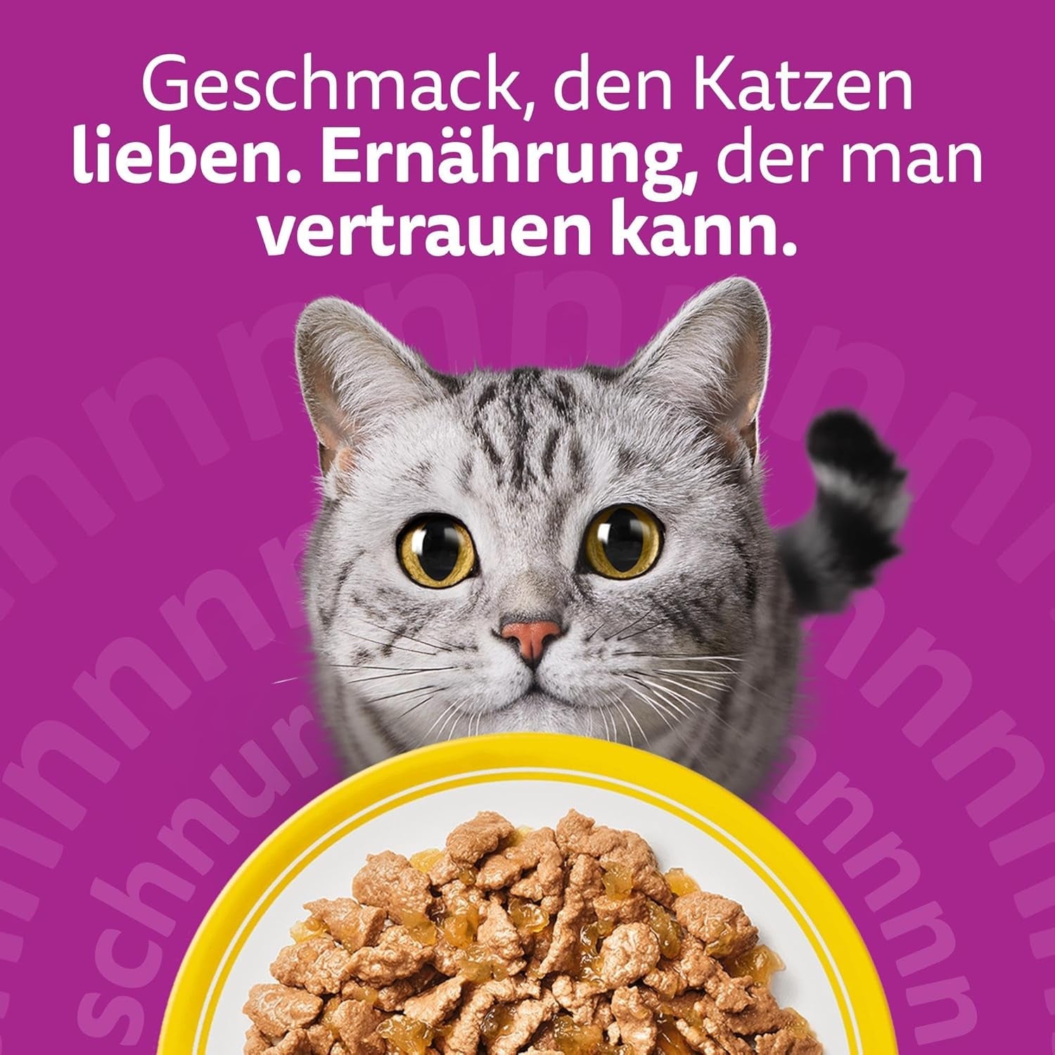 WHISKAS Comida húmeda para gatos en gelatina 120 x 85g Selección de aves