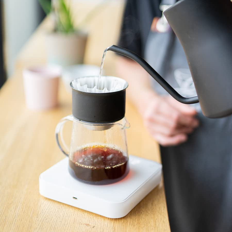 Filtro de floración de primavera | 250 g de cereales integrales | justo y sostenible | recién frito | granos de café 100% Arábica | café especial | 19 gramos Café Roastery…