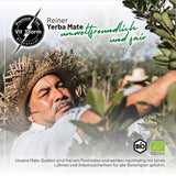 VITSTORM® Slim Tea Cardamomo – Té Yerba Mate BIO – Té detox y diurético – 100G