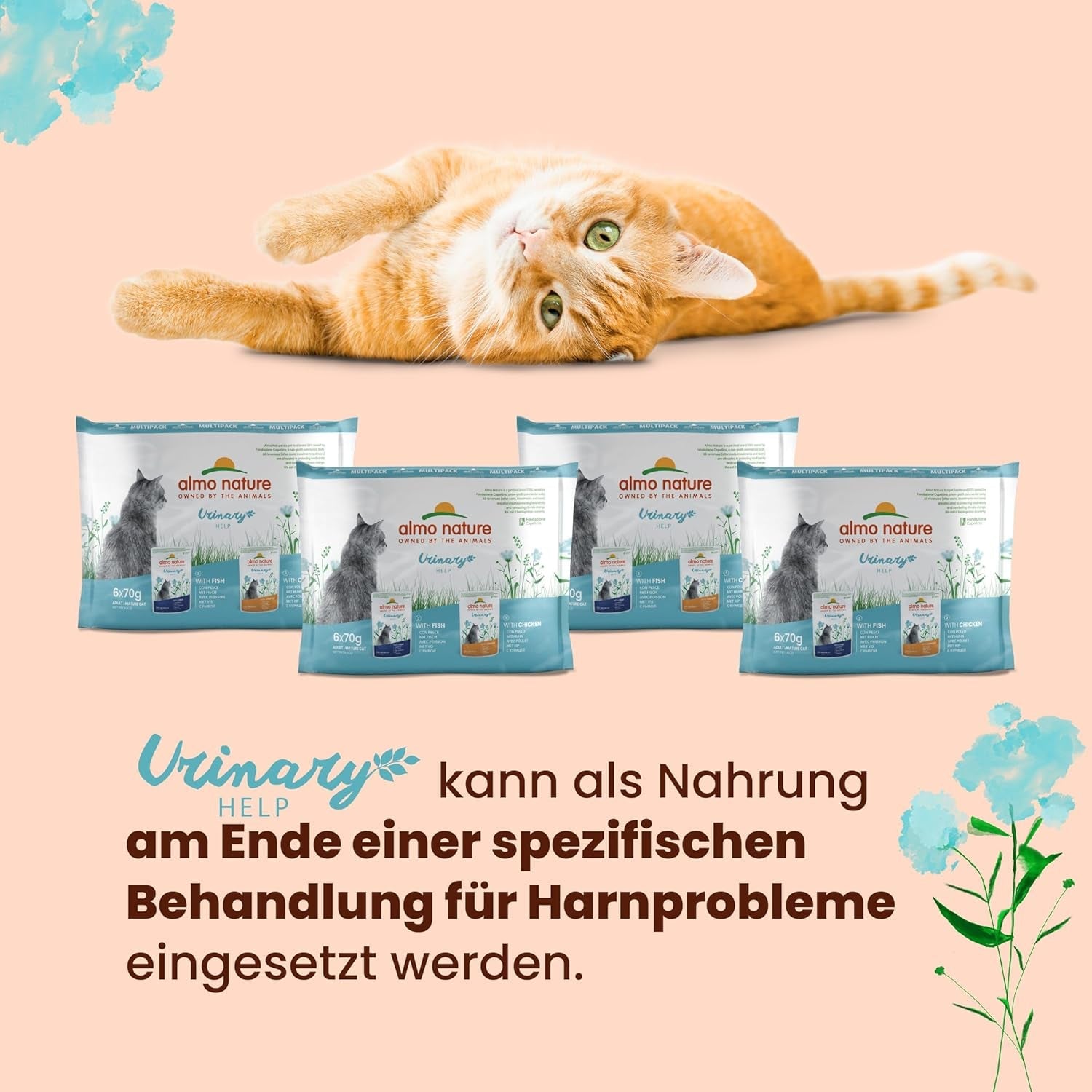 Almo Nature Functional Urinary Help - Nassfutter für ausgewachsene Katzen mit Fisch - Unterstützung für die Gesundheit der Harnwege - 30 bolsas de 70 g
