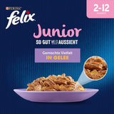 Felix As Good As It Looks Junior Comida húmeda en gelatina para gatitos, mezcla surtida, paquete de 6 (6 x 12 sobres de 85 g cada uno)