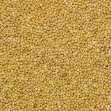 Mijo integral Earth - sin OGM - natural - vegano - sin lácteos - sin azúcares añadidos - 1 kg
