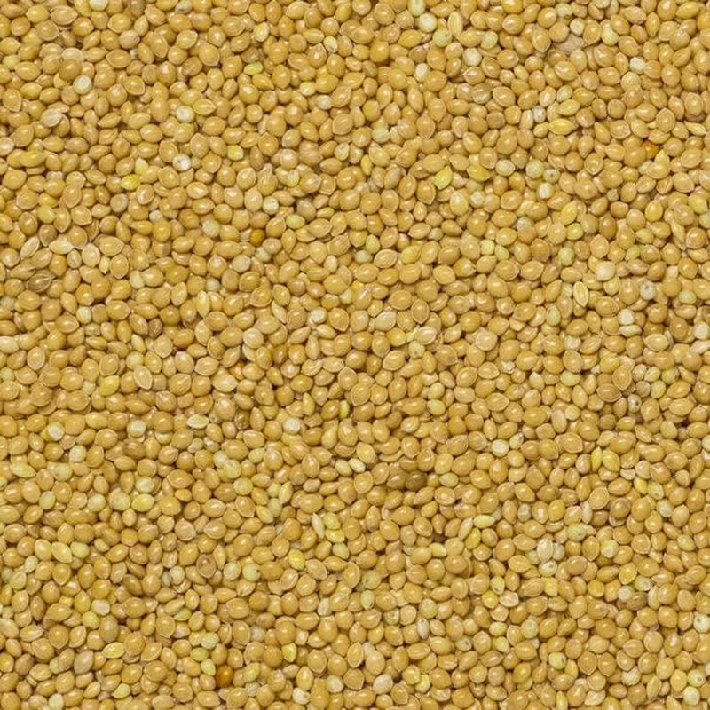 Mijo integral Earth - sin OGM - natural - vegano - sin lácteos - sin azúcares añadidos - 1 kg