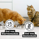 Comida húmeda para gatos Catz Finefood Purrrr con monoproteína y salmón núm. 105, para gatos con digestión sensible, 16 x 80 g
