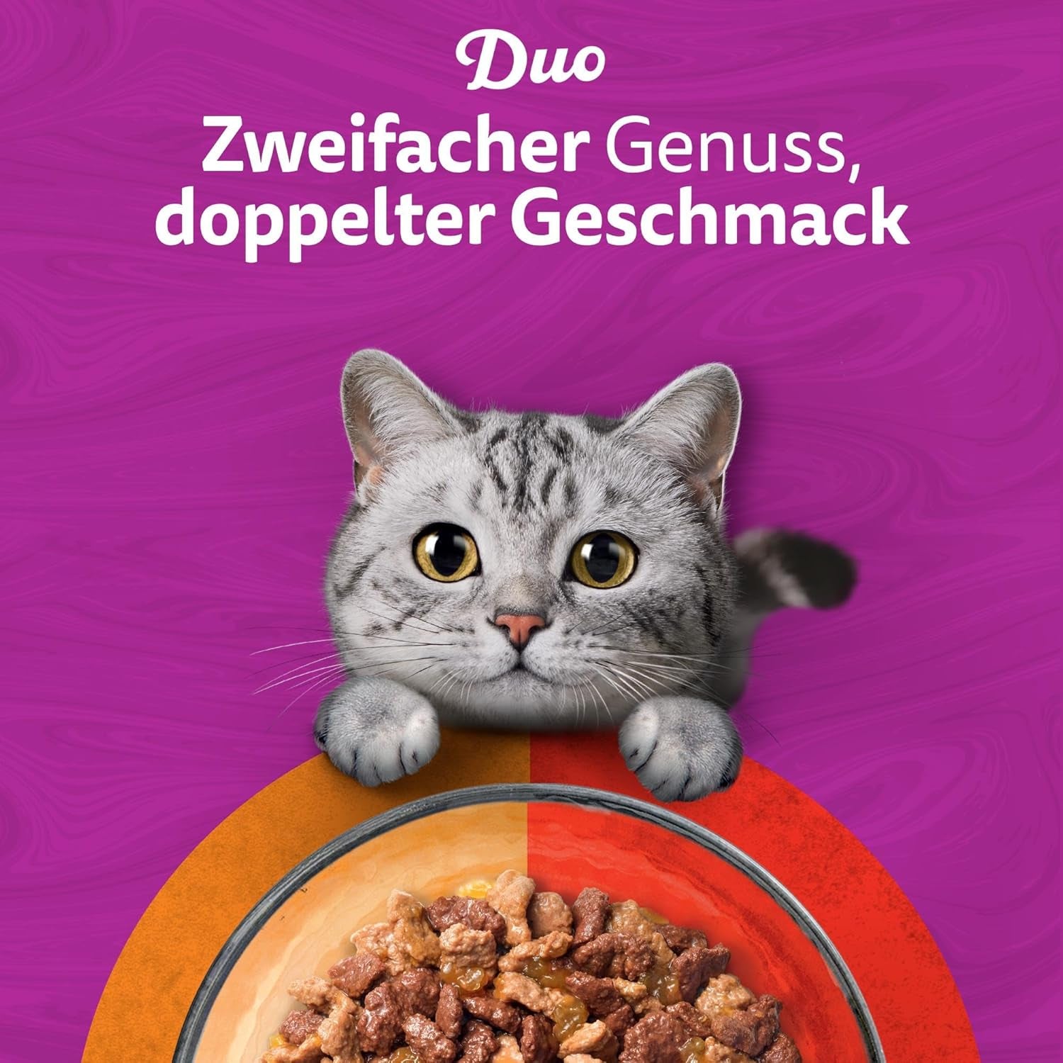 WHISKAS Duo Sachets para porciones de comida húmeda, paquete múltiple, combinación clásica en gelatina, 12 x 85 g