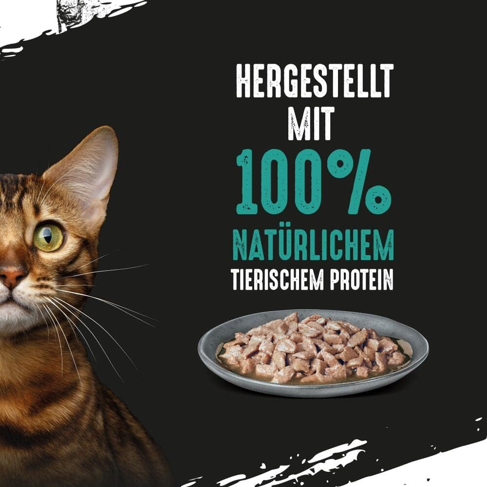 CRAVE Katze Portionsbeutel Multipack Salsa con Atún 13 x 4x85g