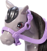Muñeca Barbie Chelsea y Ponis - Abróchate el cinturón para jugar y andar con seguridad, silla y escalones rosados, incluye casco y lindo vestido a cuadros, a partir de 3 años, HTK29