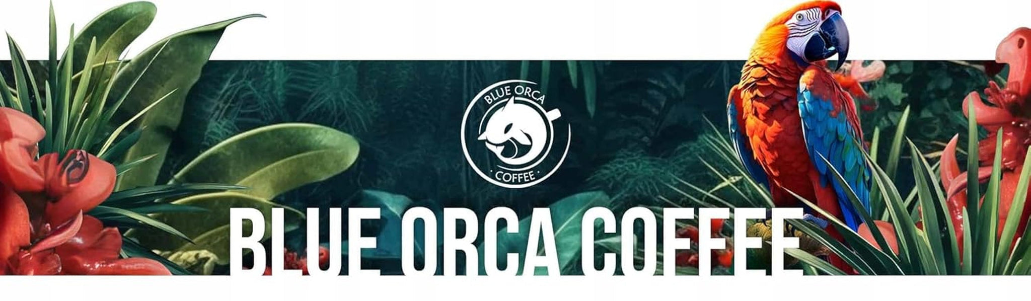 Café Molido DE BOA 1KG | 100% Arábica | con toques de chocolate y nueces | Café en grano de tostado medio, baja acidez | ideal para máquinas de café expreso | Tostadora de Café Orca Azul