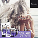 Cameleo - Mascarilla Matizadora Plata - Sin Efecto Amarillo - Tratamiento Violeta y Protección del Color para Cabellos Rubios, Grises, Blancos - Tonos Platino - Protección UV - Sin Parabenos - 200ml Naty Shop Mascarilla Capilar
