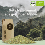 Té Yerba Mate BIO 1 kg ● Original ● Maduro ● Sin tostar ● Secado al aire ● Sin humo ● Sin plástico ● Comercio justo ● Mate de hojas de yerba, trozos de yerba y polvo de hojas de yerba ● DE-ÖKO-006