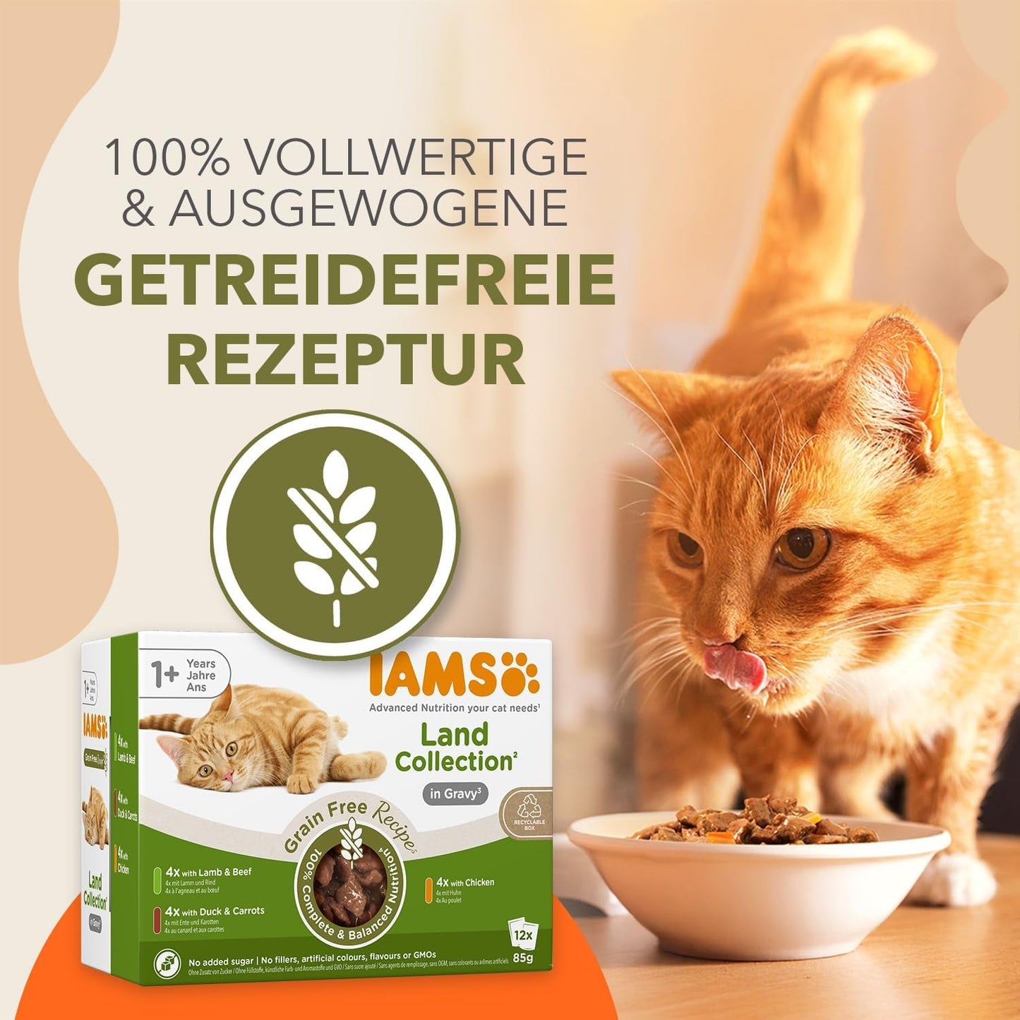 IAMS Delights Land Collection Comida húmeda para gatos sin cereales - Paquete variado de carne Paquete múltiple Comida húmeda sin cereales para gatos de 1 año y más 12 x 85 g