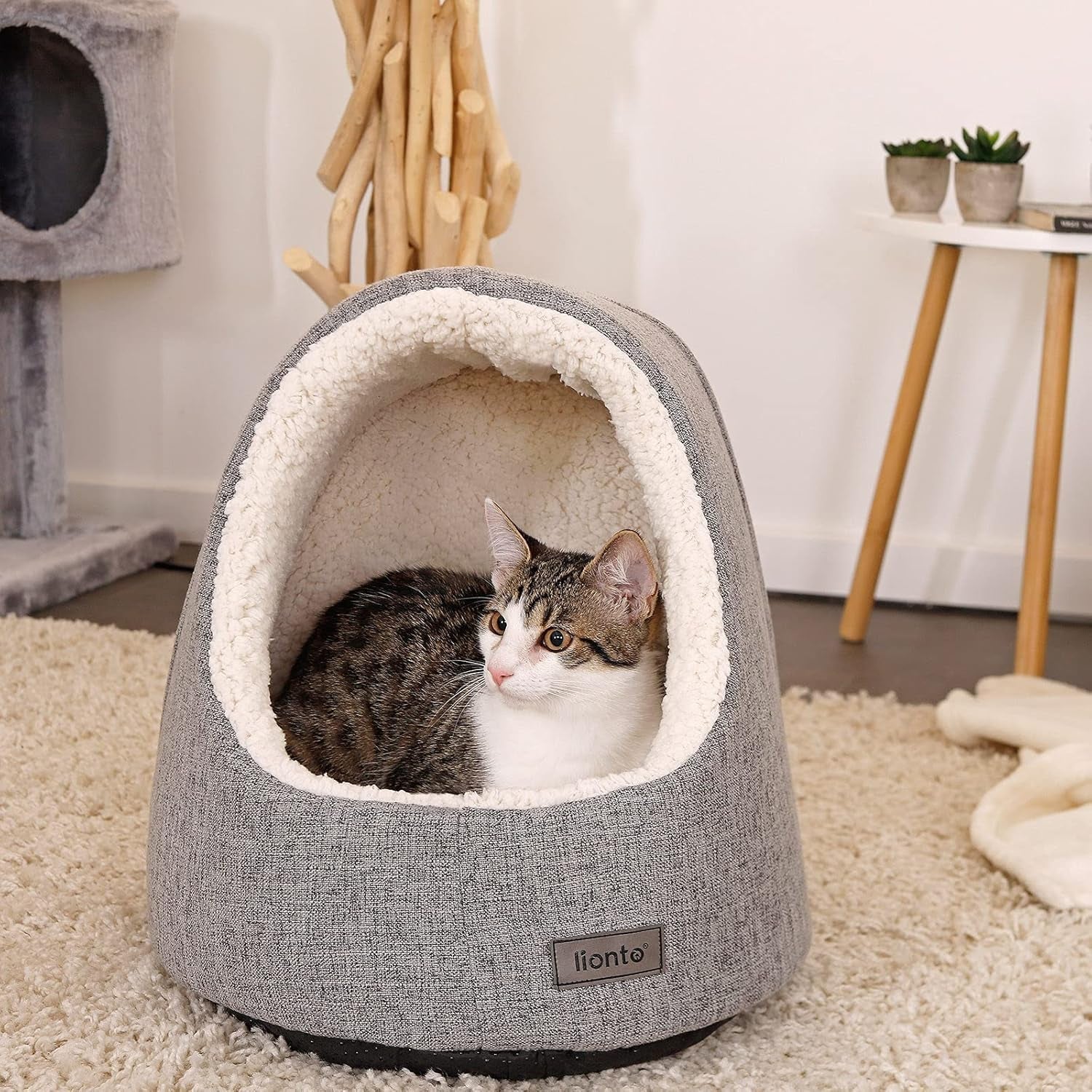 Mantas y Muebles, Mascotas, Casas y Cuevas, Gatos, Camas para gatos, Gatos - camas, colchones