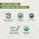 Color de cabello en gel sin daños naturales de Indus Valley | Sin amoniaco, vegano y libre de crueldad animal | Hasta 100% de cobertura de canas, resultados duraderos | Castaño claro 5.0 (20 gramos + 200 ml) Tinte para el cabello Naty Shop