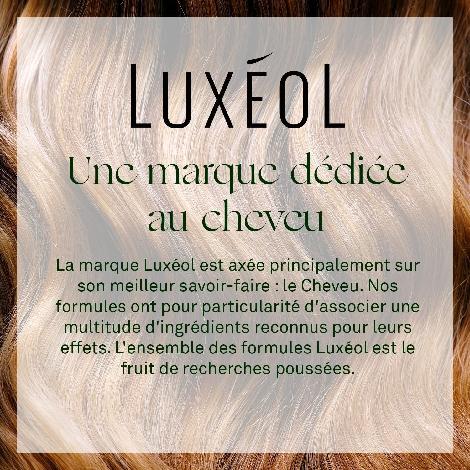 Luxeol Caída Progresiva 2 en 1, programa para 1 mes - 14 frascos de 6 ml Cuidado del cabello Luxeol