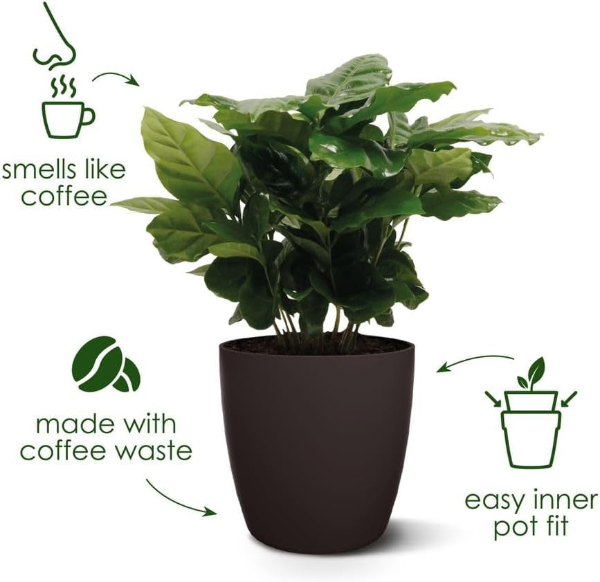 elho The Coffee Collection, maceta redonda de interior, 18 cm, hecha de posos de café y plástico reciclado - marrón/marrón expreso