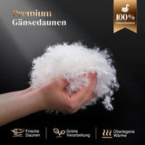 135X200 Edredón para todas las estaciones Edredón de plumas de ganso 100% algodón Edredón de plumas con relleno grueso No Live Plush Edredón de transición extra esponjoso Caja deflectora 3D Cama individual Edredones y edredones blancos Naty Shop