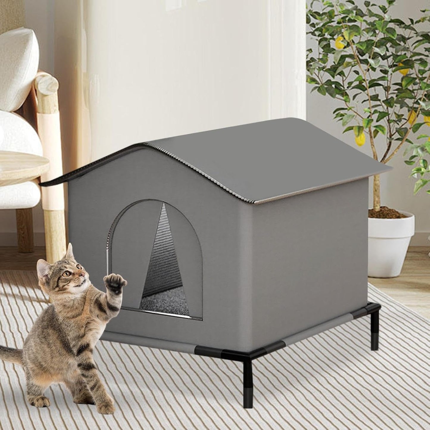 Mantas y Muebles, Mascotas, Casas y Cuevas, Gatos, Camas para gatos, Gatos - camas, colchones