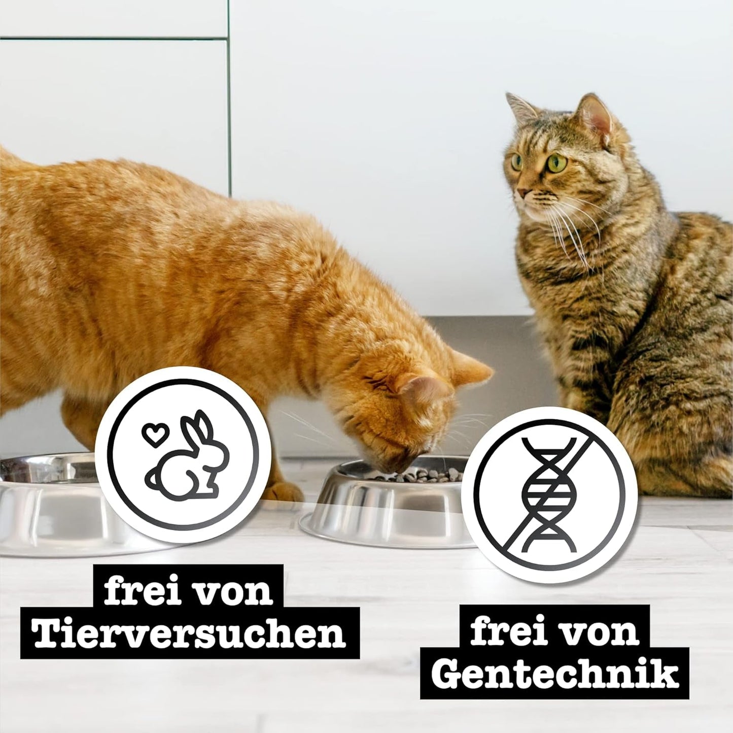 Catz Finefood Purrrr Collection I - Alimento húmedo monoproteico para gatos - Sin cereales, sin azúcar, hipoalergénico - Alto contenido en carne - Paquete múltiple de alimento húmedo para gatos - En sobres, 85 g (12 paquetes)