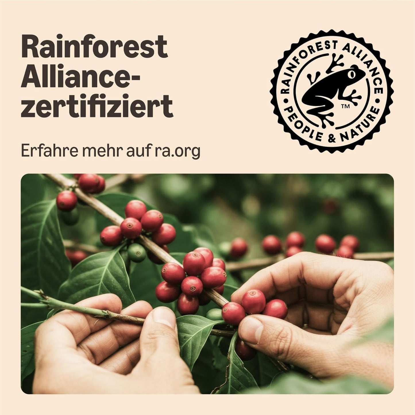de Amazon Starke Pads, fabricados para Senseo-Maschinen, 36 piezas (1 paquete con 36 piezas) – Certificado Rainforest Alliance