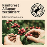 de Amazon Starke Pads, fabricados para Senseo-Maschinen, 36 piezas (1 paquete con 36 piezas) – Certificado Rainforest Alliance