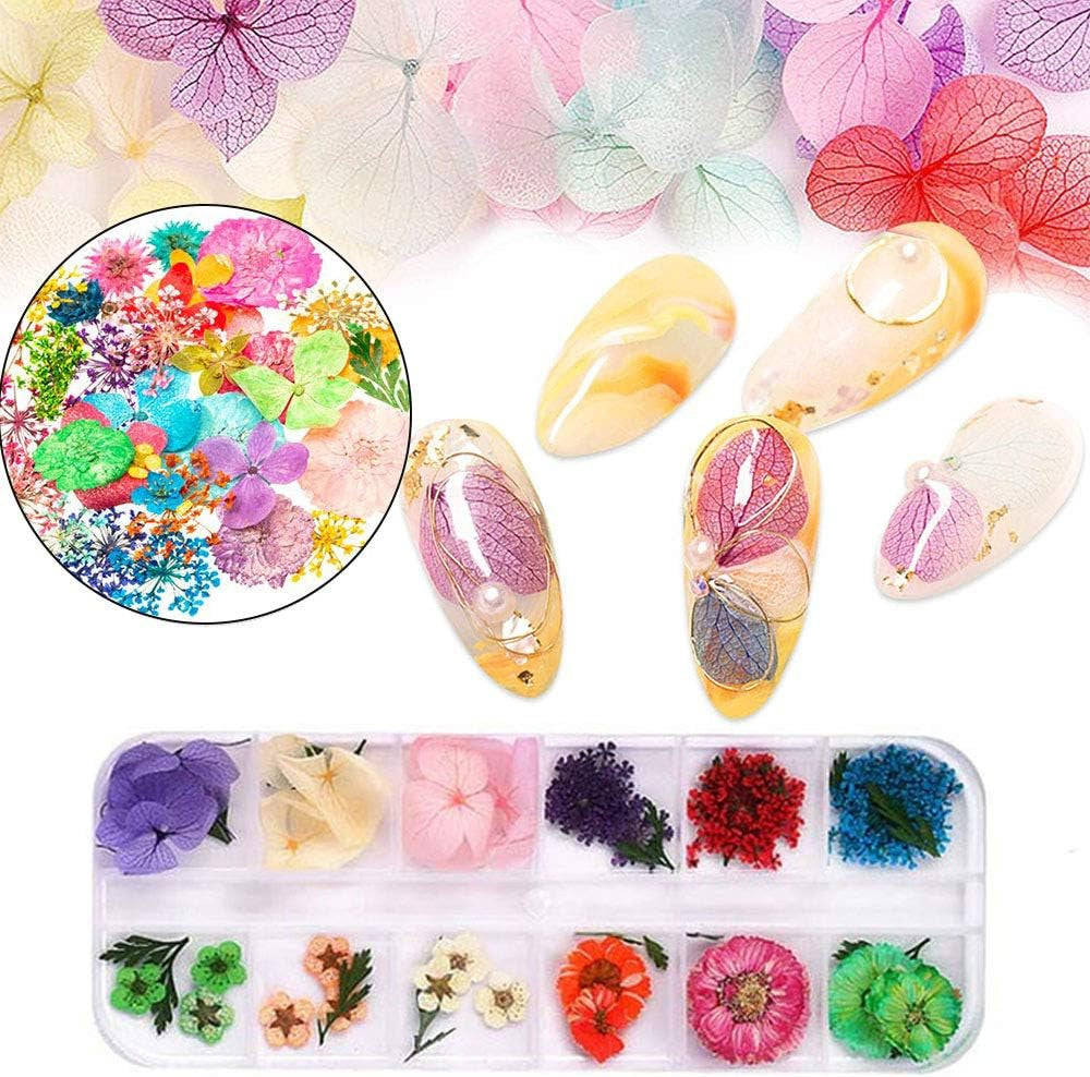Kalolary Flores secas para uñas Lentejuelas de mariposa Esmalte de uñas Papel de aluminio Pegatinas de uñas Pinzas Piedras de uñas Diamantes de imitación Lápiz para diseño de uñas 3D Decoraciones de bricolaje