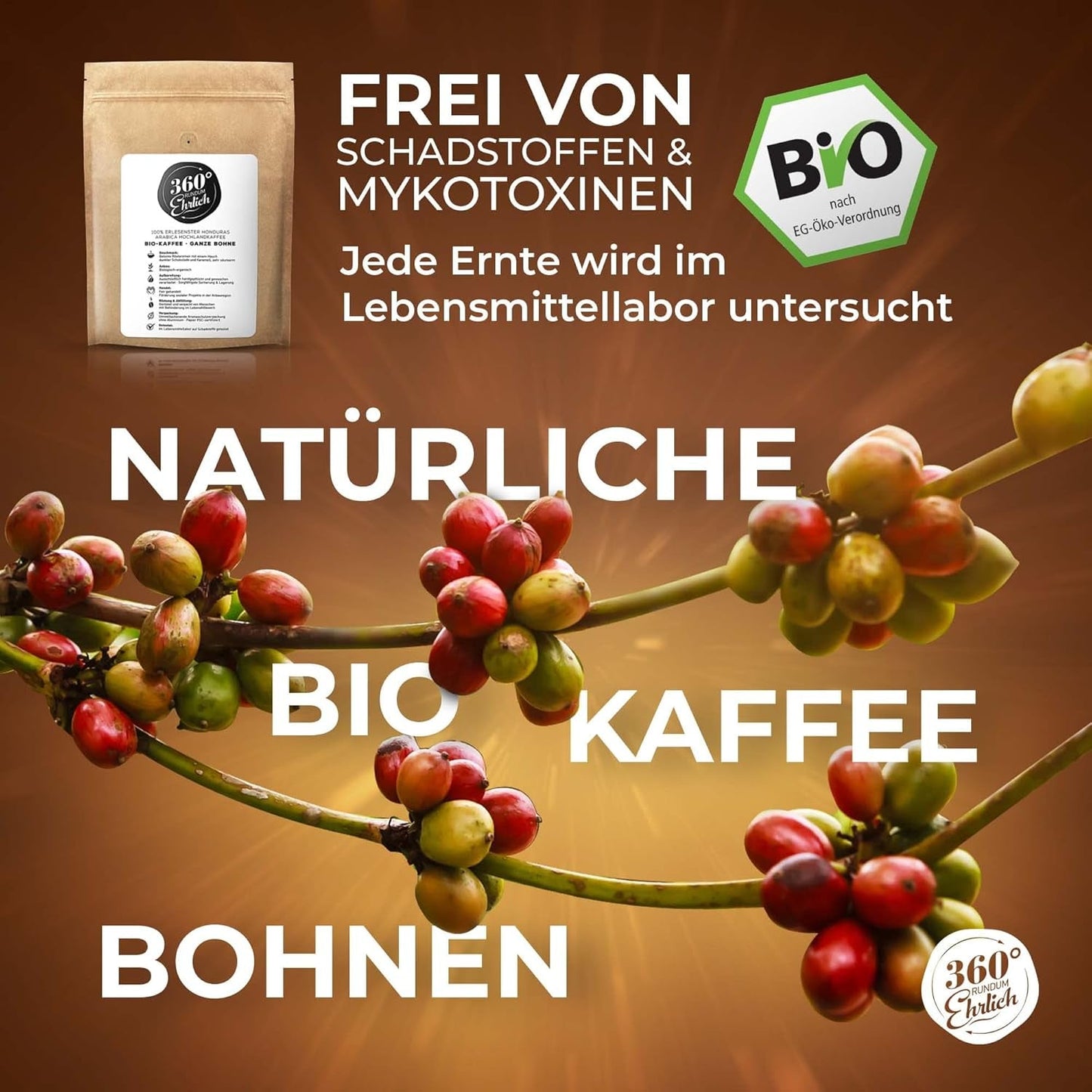 Premium Bio Kaffeebohnen 1000g, 100% Honduras Hochland Arábica Kaffeebohnen Bio - Köstlich, suave, säurearm - Bio Kaffee ganze Bohnen - Ideal como Kaffeebohnen Vollaautomat - 360° Rundum Ehrlich